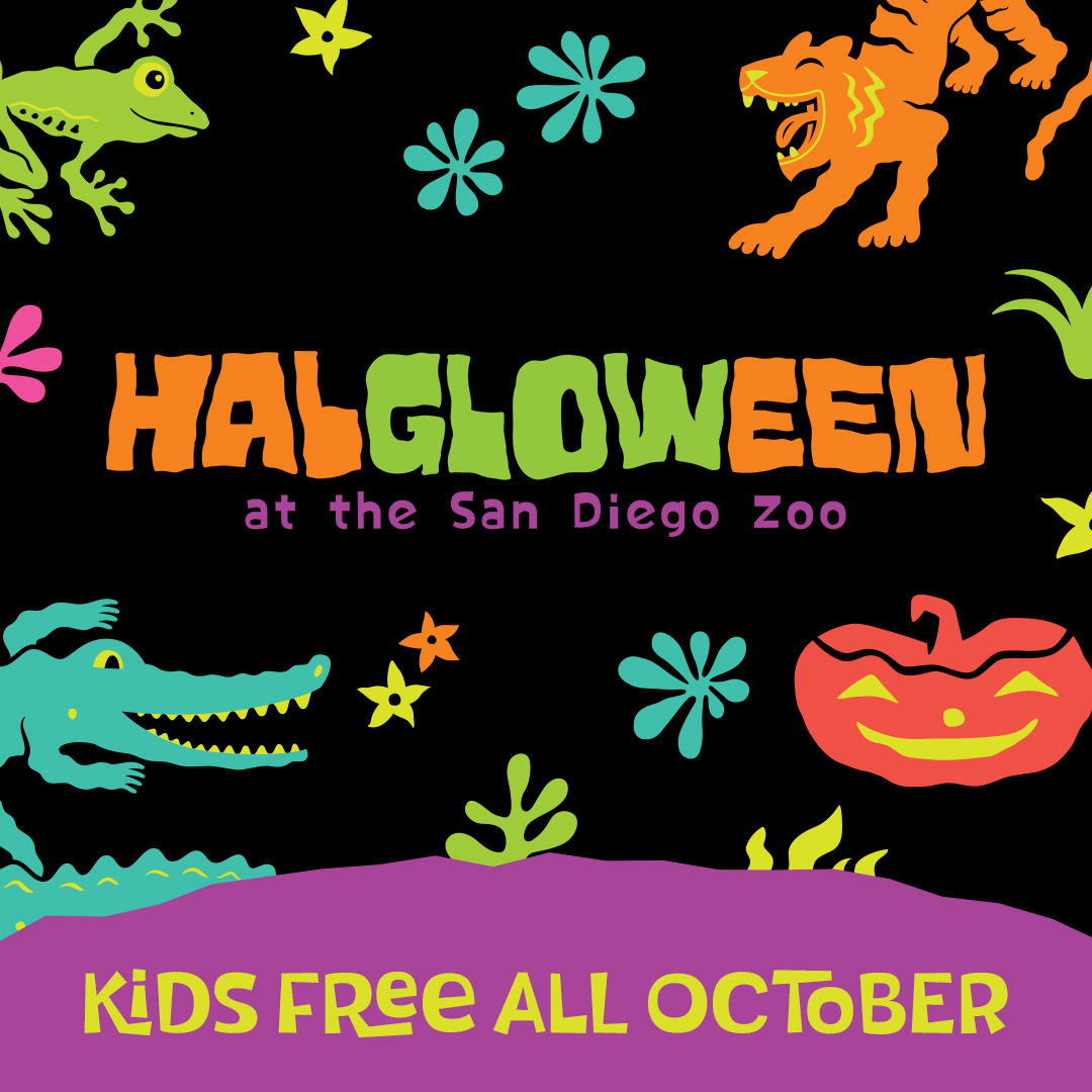 Gana Entradas para San Diego Zoo